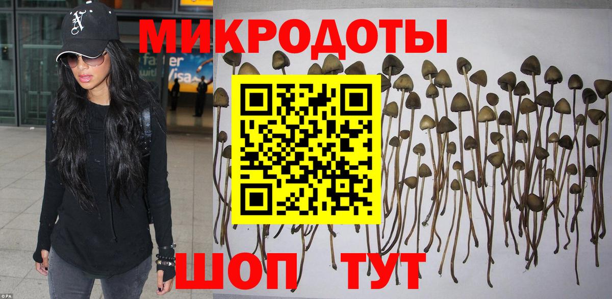 Псилоцибиновые грибы GOLDEN TEACHER  Псилоцибиновые грибы MAGIC MUSHROOMS  Дмитров  Вход с VPN 