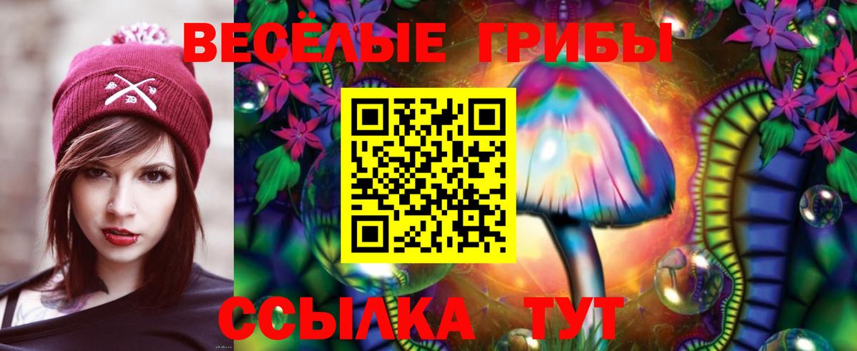 Псилоцибиновые грибы мухоморы Дмитров